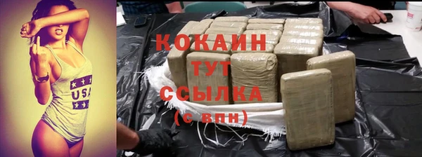 дживик Вязьма