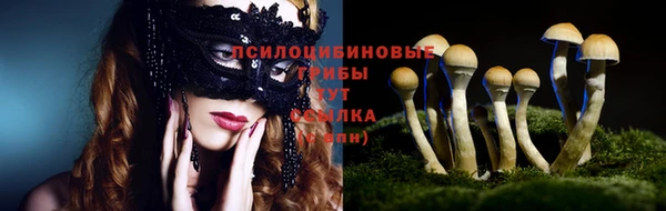 дживик Вязьма
