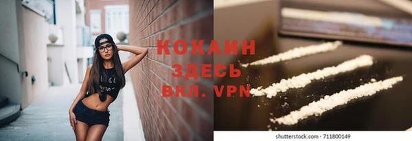 дживик Вязьма