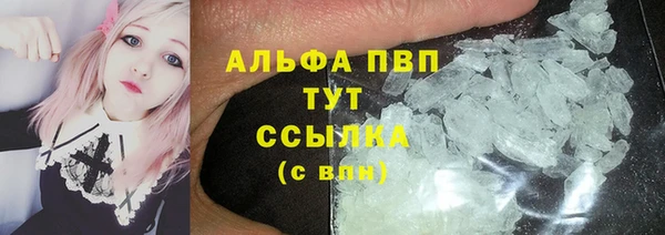 дживик Вязьма